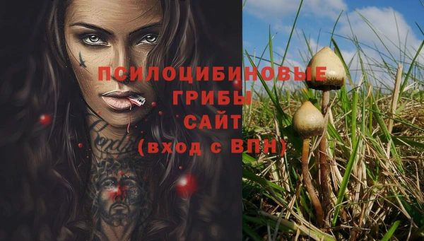 стафф Заволжье