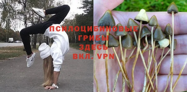 стафф Нефтегорск